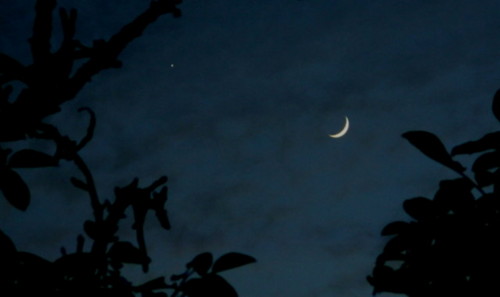 vénus-lune.jpg