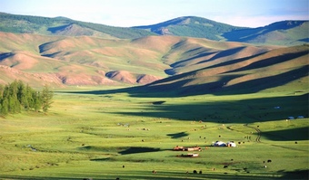 paysage-steppe-mongolie-khangay-bois-et-montagne.jpg