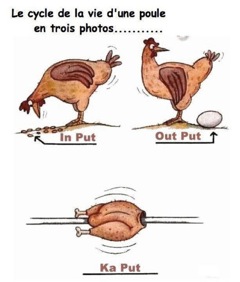 La vie d'une poule.jpg