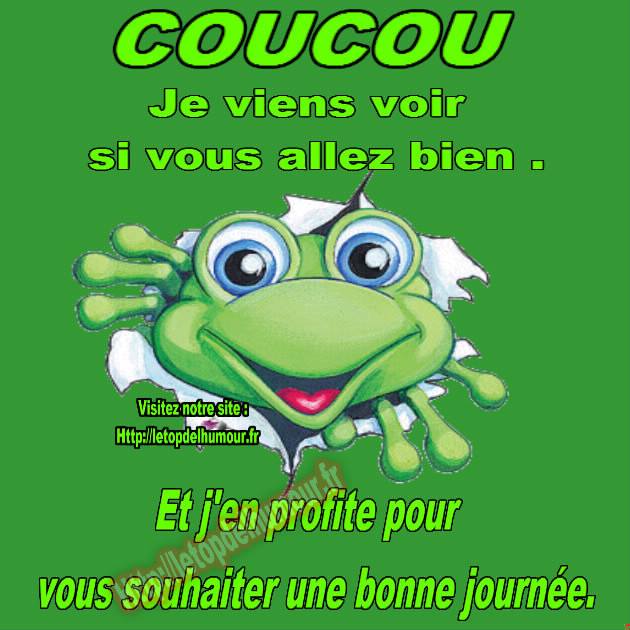 coucou.jpg