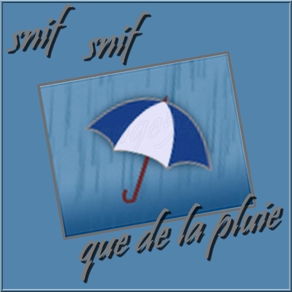 pluie vent.jpg