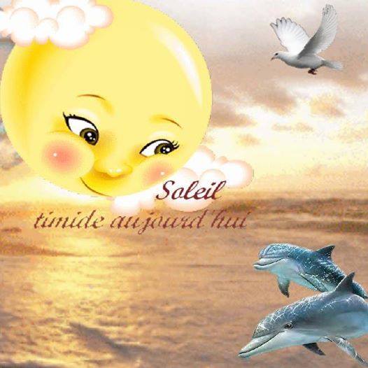 timide soleil.jpg