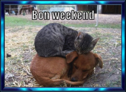 bon-week-end_010.jpg