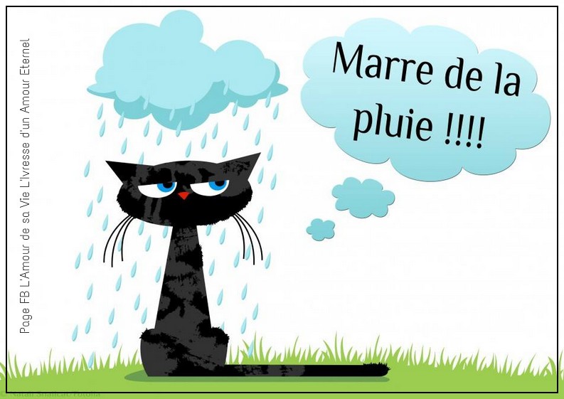 pluie.jpg