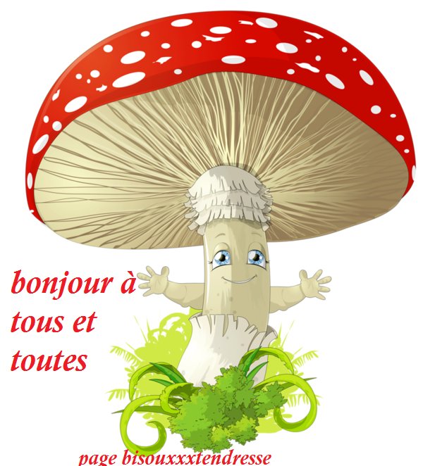 bonjour.png