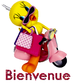 titi-moto-bienvenue-9a1510.gif