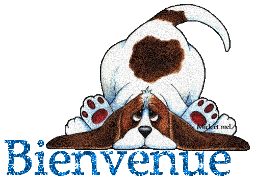 99661365bienvenue-chien-gif.gif