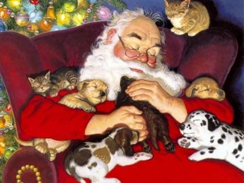 noël.jpg