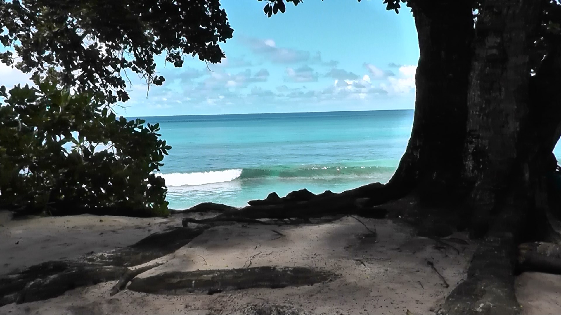 100 Anse Takamaka Arrivée à couvert.jpg