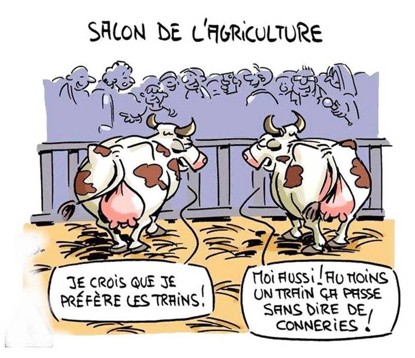 salon de l'agriculture.jpg