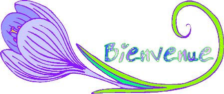 Bienvenu a toi