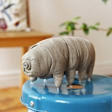 tardigrade peluche.jpg