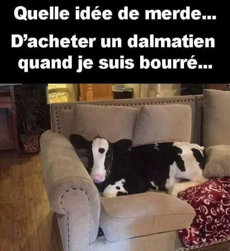 FB_IMG_1561539329591.jpg