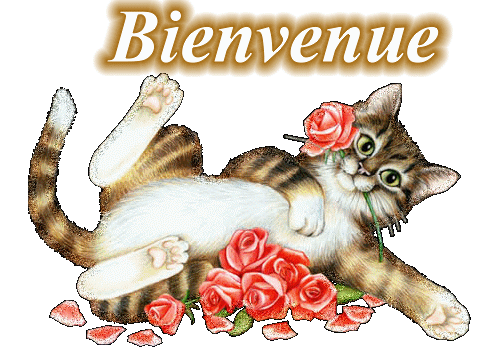bienvenue chat.gif