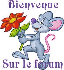 bienvenue forum.jpg