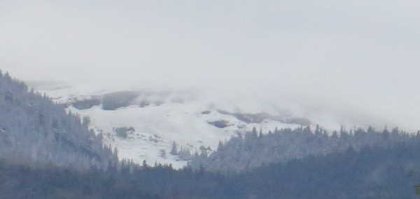 Première neige.jpg