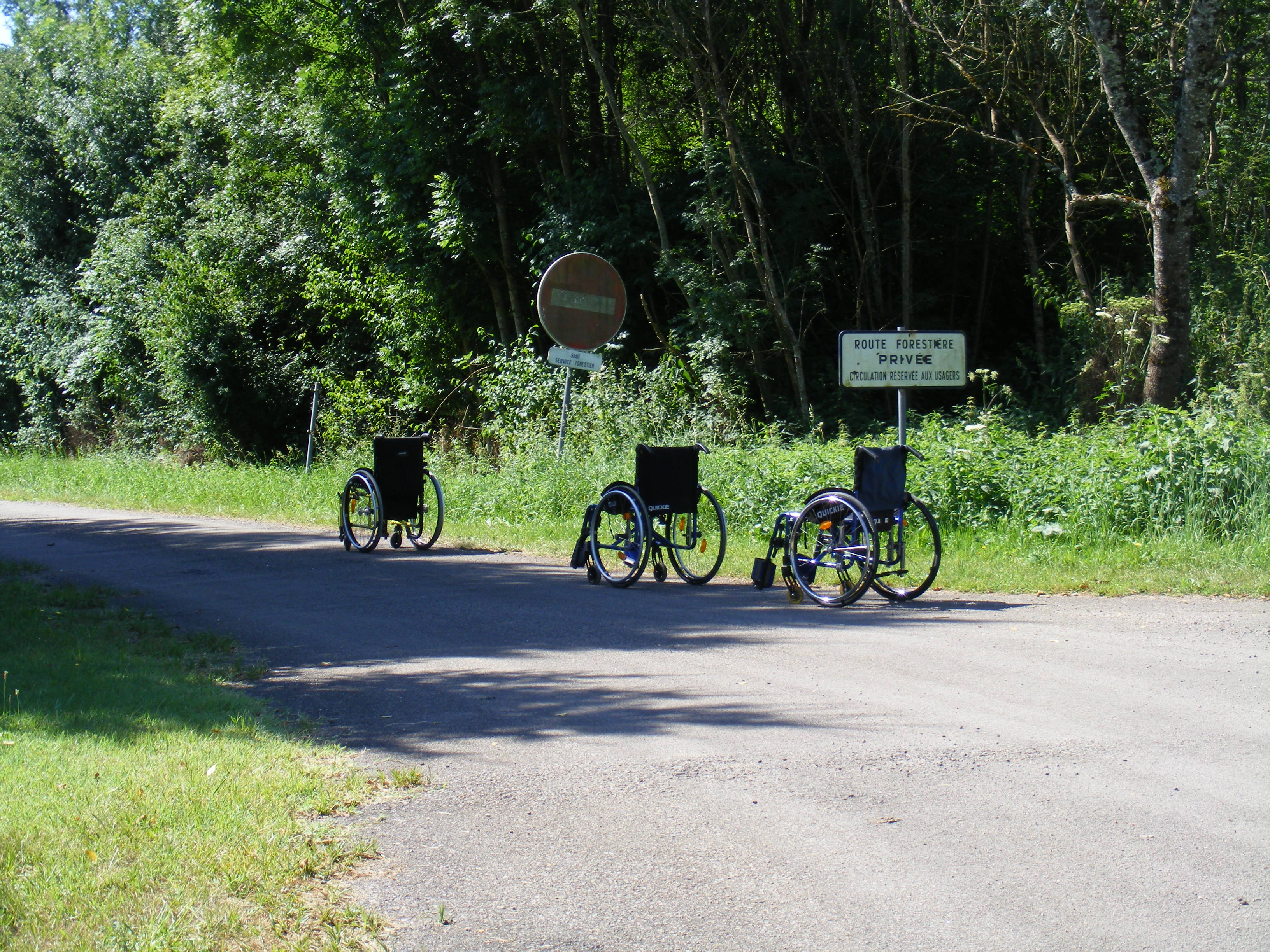 MONOTONE PROMENADE.JPG