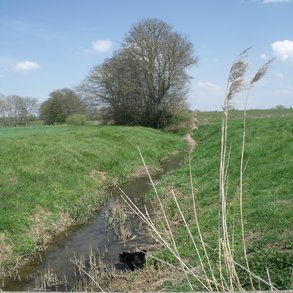 Mississipi River 1.JPG