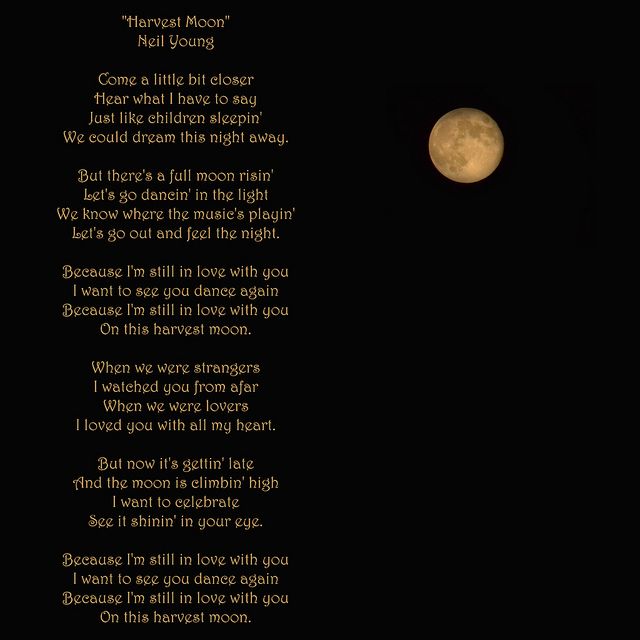 Tablature Harvest moon - Neil Young - Lyrics.jpg
