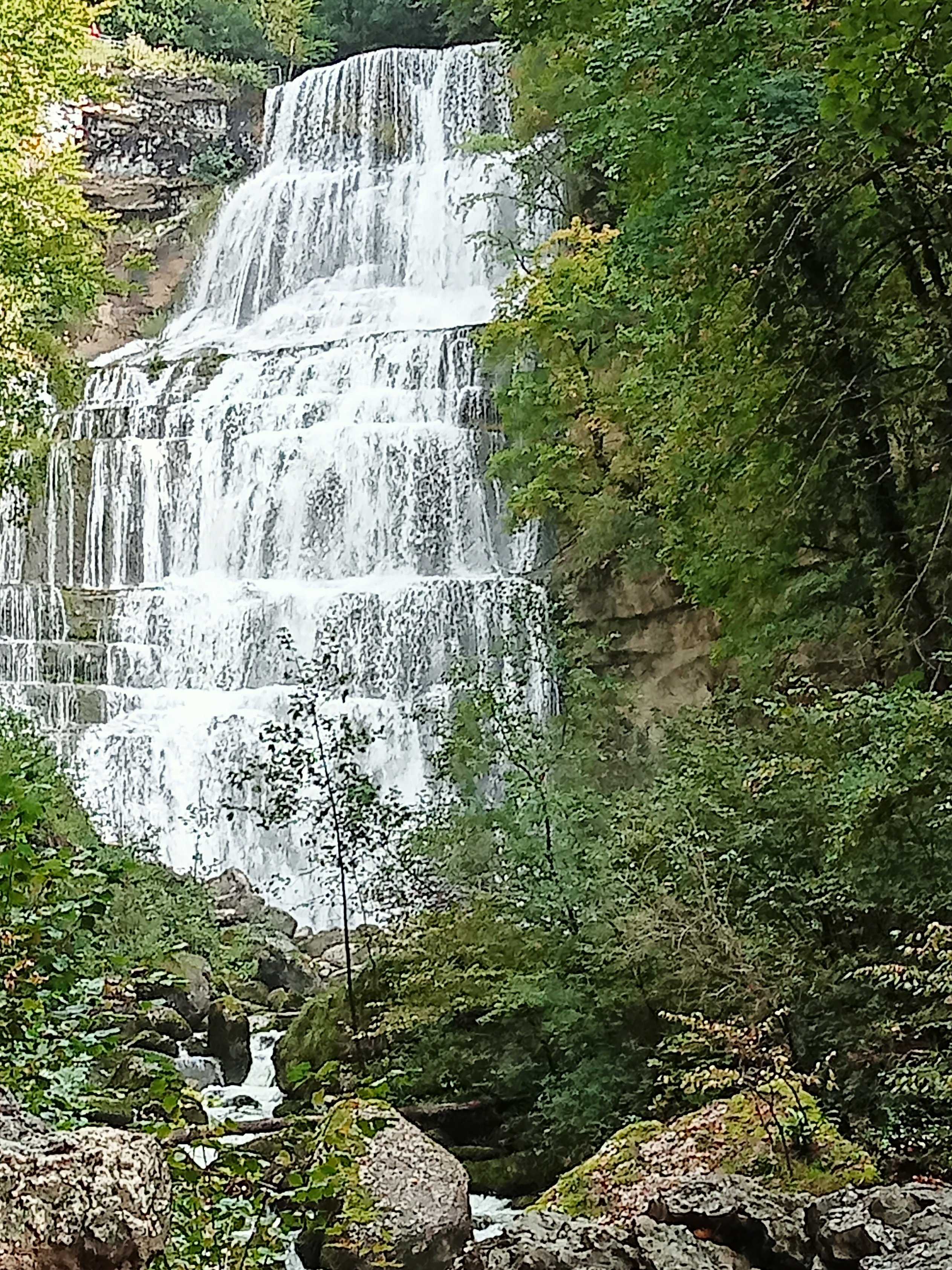IMG20240924153307.jpg