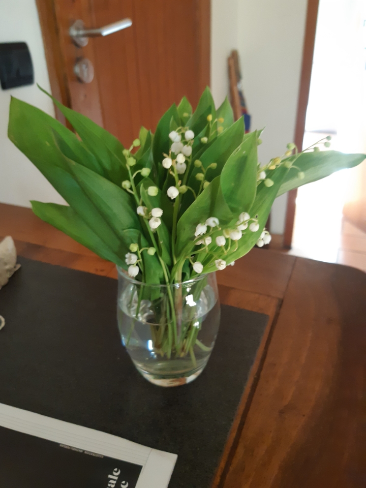Resized_20250430_094956.jpeg