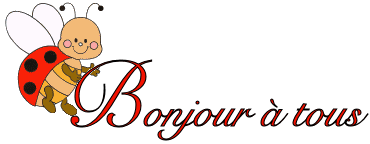 bonjour .gif