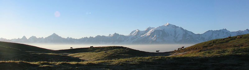 Moutons.jpg